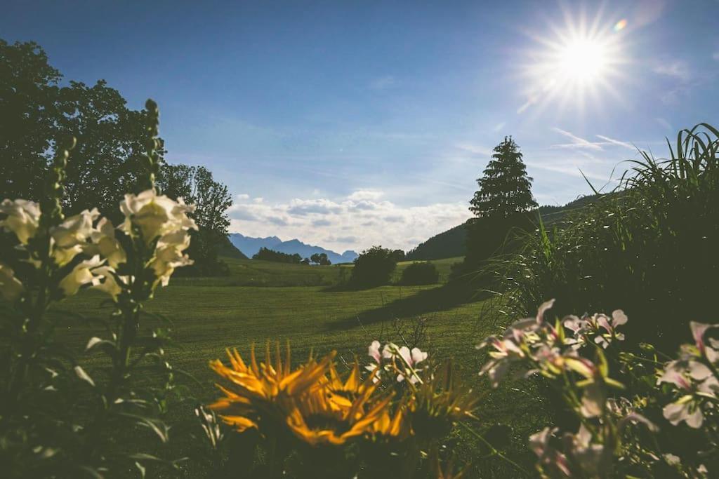 Fritzis Alpenidyll „Sommertraum & Winterromantik” 자마베르크 외부 사진