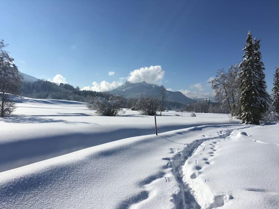 Fritzis Alpenidyll „Sommertraum & Winterromantik” 자마베르크 외부 사진